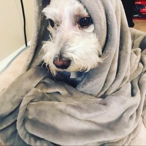 Meet your Posher, Arjun